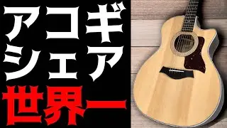Taylorってどんなメーカー？世界一のアコースティックギターメーカーを紹介します！【島村楽器イオンモール甲府昭和店】