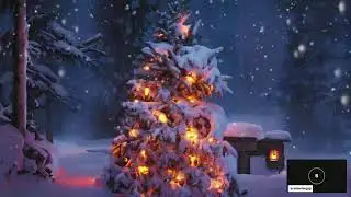 ❄️ White Christmas Live &ndash; Cozy Snowfall + Relaxing Holiday LoFi Christmas Live Music 24/7