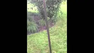 On6uu homebrew portable antenna