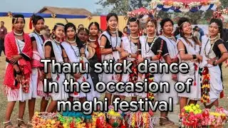 Tharu mix song//chitwan-Basyauligirls group/9th khichara-mahotsav 2080❤ enjoythedance✌
