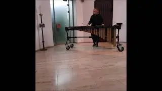 Wedding March (Mendelssohn, Hochzeitsmarsch, Marimba) Silke B&uuml;scherhoff