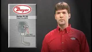 Series PLS2 Paddle Level Switch
