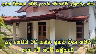 අද හෙටම රට යන්න ඉන්න නිසා ඉක්මනින්ම විකිණීමට ඇත | New house for sale | Small house  sale Sri Lanka