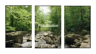 Tree Visualization