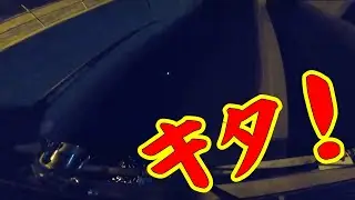 【ボラだらけの中で】釣り/海釣り/碧南海釣り公園/碧南釣り広場/温排水/衣浦湾/クロダイ/チヌ/キビレ