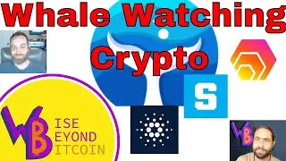 Crypto Whale Watching - Cardano, Hex & The Sandbox