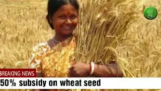 50% subsidy on wheat seed