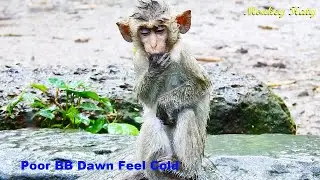 Oh God! When seeing orphan tiny Dawn sit under raining, my tears fall down Ep455