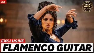 Authentic Flamenco Guitar | Traditional Spanish Music Experience