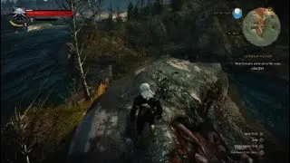The Witcher 3: Beached Whale