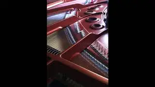 Prelude in C Sharp Minor Op. 18 No.10 - Stephen Heller
