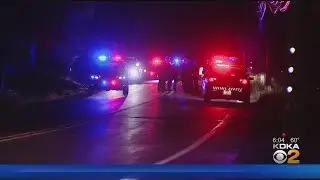 Homeowner Shoots, Kills Another Man Who Entered His Robinson Township Home