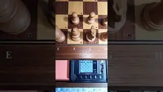 Elfacun module with Mephisto exclusive board