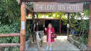 The Lions Den Hotel, in Tropical Rainforest, North Queensland