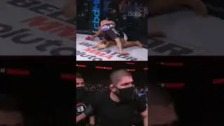 Khabib Reaction on islam Mamedov! Coach khabib first Loss in Bellator#shorts #khabib #ufc #mma#islam