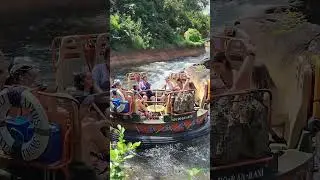 Kali River Rapids Ride at Disney's Animal Kingdom #disney#disneypark#waterride#disneyride#water.