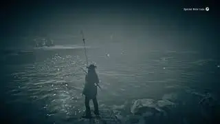 Steelhead Trout locations for Daily Challenge - RDR2 Online