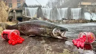 2 Days Trout Fishing in the FREEZING Mountains! {Catch Cook Camp}
