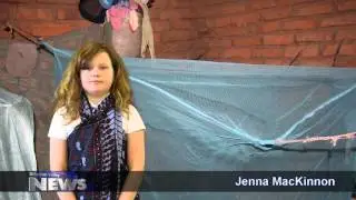 Начальные школы Баллантрэ Колмонелл