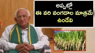 అప్పట్లో ఈ వరి వంగడాల మాత్రమే ఉండేవి | Nekkanti Subba Rao About Farmers |  Eagle Agro