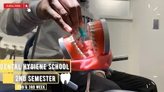 Dental Hygiene School|Week 2&3|First Day Of Clinic|SCADHA|Tooth Polishing|Texas Tornado|