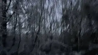 Grapeshot