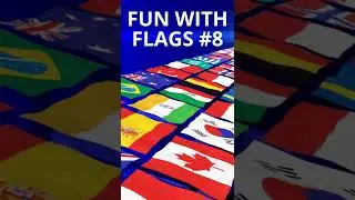 Extremely Hard Flag Quiz - Guess The Flag | Part 8 #Shorts
