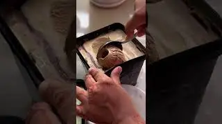 Trying the most expensive ice cream brand?!