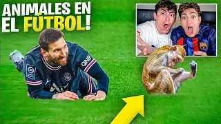 CUANDO ANIMALES EXTRAÑOS INVADEN el CAMPO ¡¿Qué hace un MONO?!