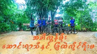 ခြံထဲ လှိုင်ရိုးမ
