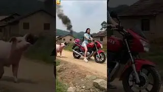 Bank Wali Madam suar ka Sawari Karva rahi hai -Shorts Surendra Kherwar Vlog