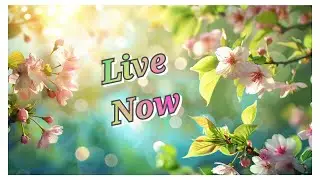 Live Shagun Ceremony GURPREET SINGH & JAIMANDEEP KAUR