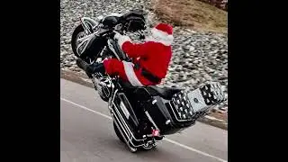 Santa Rob  & The Canned Elfs-The Santa Rob Song