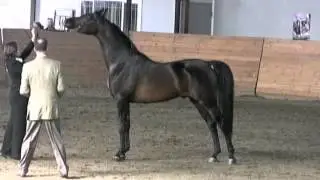 GH MARKAINE