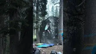 Tall Boy (V4)