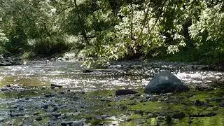 Mimico Creek