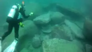 Bluefish Point boat dive #1