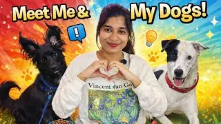 ನನ್ನೂ ನನ್ನ ಪ್ರೀತಿಯ ಪ್ರಾಣಿಗಳ ಪರಿಚಯ | Meet Me & My Dogs 🐶 #minivlog #vlog 