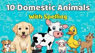 10 Domestic Animals Name 🐶🐱 |  Learn Animal Names for Kids