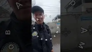 МЕНТ ДЕЛО ГОВОРИТ