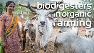 Biodigesters in Organic Farming | India Sistema.bio