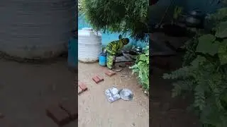 village life#rain#barish#kachha angan#ganv#rewa sidhi mp#village life#rural india