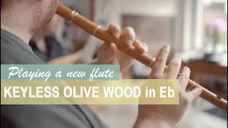 Irish Wooden Flute Olive Wood in Eb | Made by Steffen Gabriel