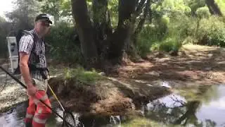 Eel Rescue