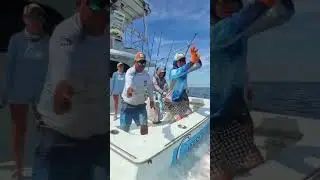 fisherman vs blue marlin that won't stop jumping around #fishing #billfishing #bluemarlin #shorts