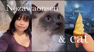 Introvert's first Winter Cabin Trip~ Japanese Onsen Town and days with the prettiest cat