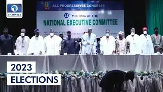 APC NEC Resolves To Vest Power In National Working Committee For 90 Days  |Extended|