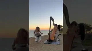 OMG: Handpan and Harp Duo 