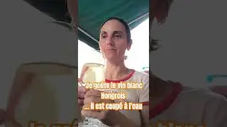 🇭🇺Connais tu le Froccs ? Du vin blanc ou du ros&eacute; coup&eacute; a l'eau gazeuse 🇭🇺