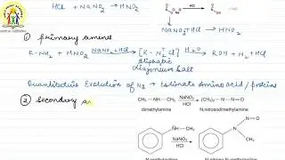 27 | REACTION WITH NITROUS ACID